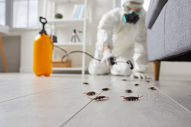 Trusted Cockroach Control service in Scottdale, GA - Nex Pest Control